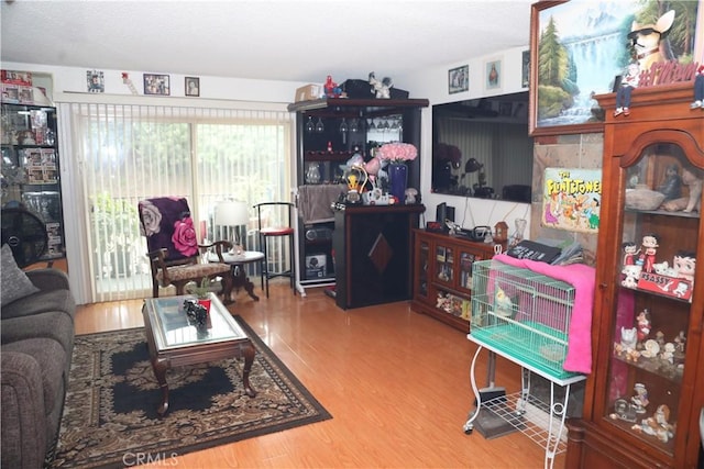 living room featuring wood-type flooring