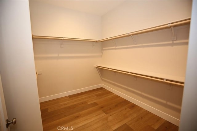 spacious closet with hardwood / wood-style floors