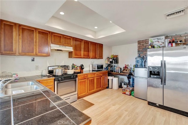 kitchen with a raised ceiling, light hardwood / wood-style floors, sink, and stainless steel appliances