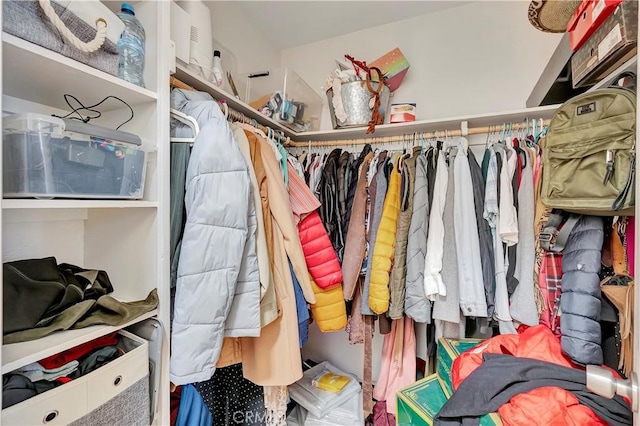 view of spacious closet