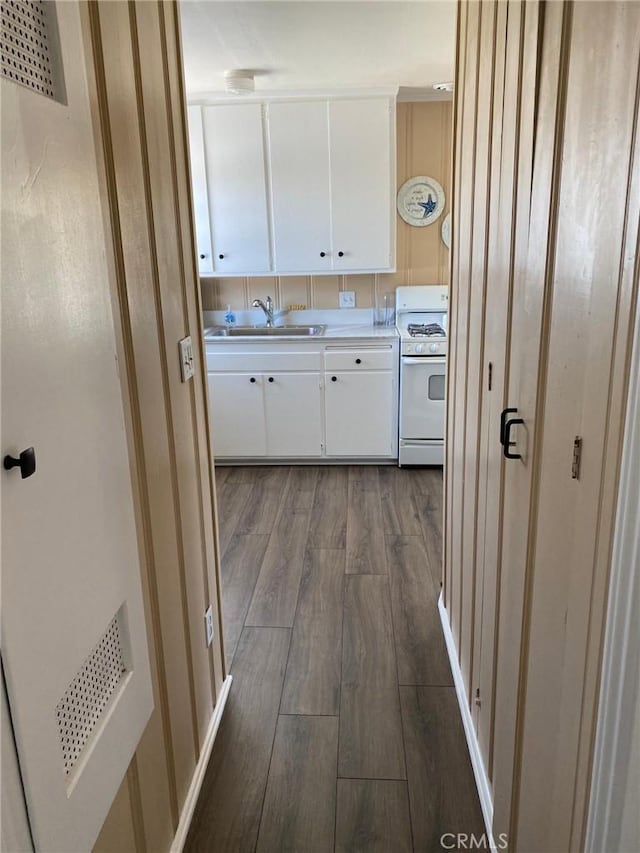 hallway featuring wood-type flooring and sink