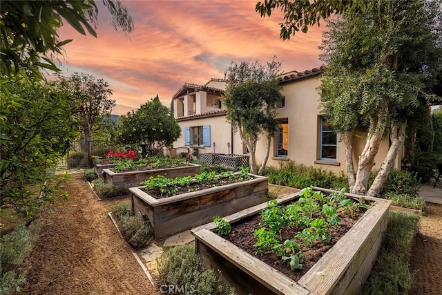 view of yard at dusk