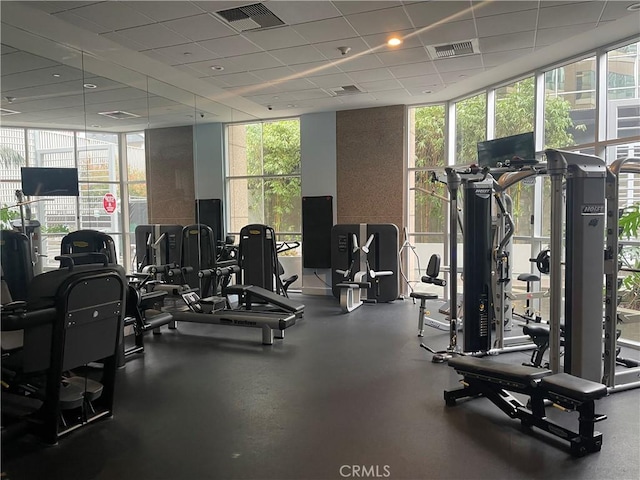 workout area featuring expansive windows and a paneled ceiling