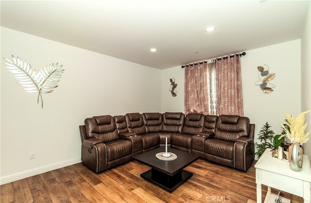 living room featuring dark hardwood / wood-style flooring