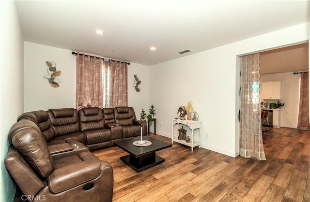 living room featuring hardwood / wood-style floors