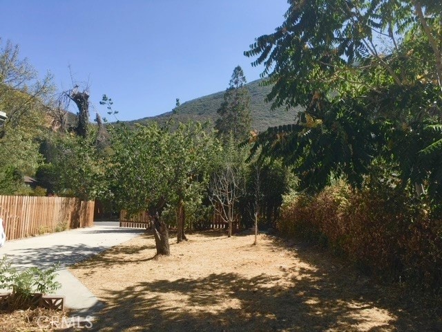 view of yard featuring a mountain view