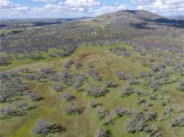 2350 Old Hwy, Catheys Valley, CA 95306 - photo 40
