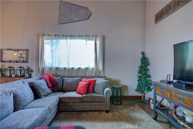 living room featuring carpet flooring