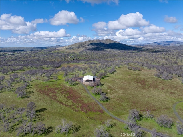 drone / aerial view featuring a mountain view