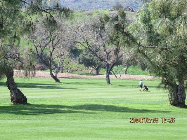 view of community featuring a yard