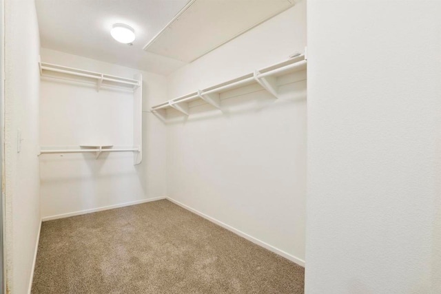 spacious closet with carpet floors