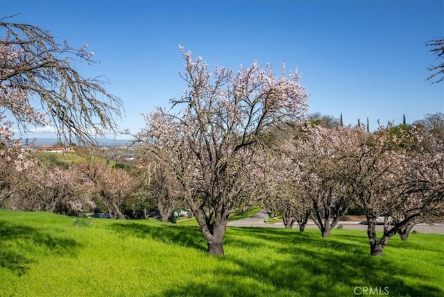 view of property's community featuring a lawn