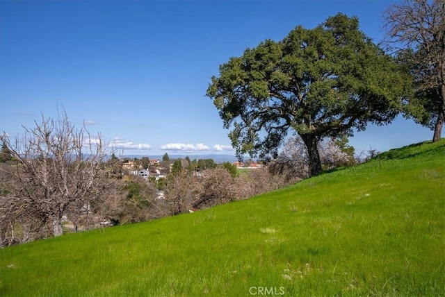 view of landscape