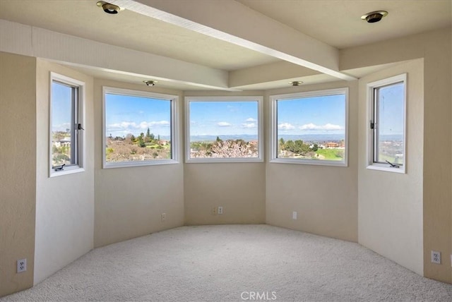 empty room featuring light colored carpet