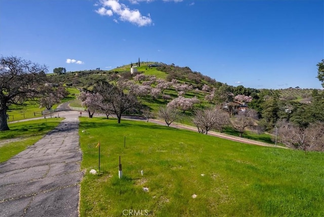 view of community featuring a yard