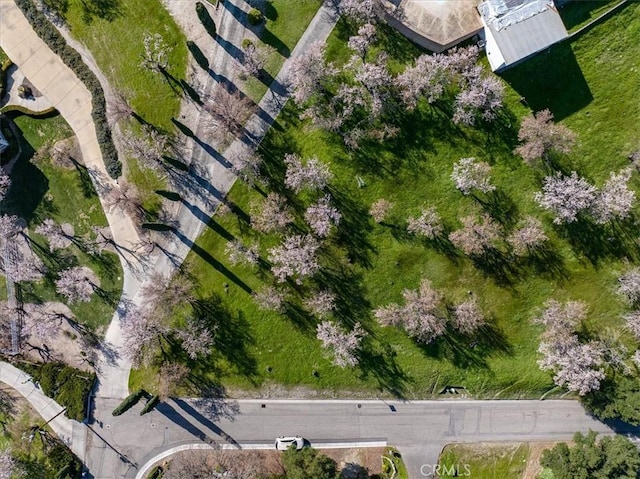 bird's eye view