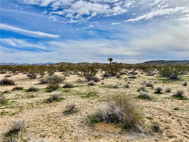 0 Willies Way, Joshua Tree CA, 92285 land for sale