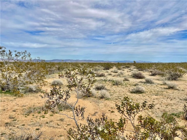 Listing photo 3 for 0 Willies Way, Joshua Tree CA 92285