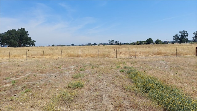 view of yard with a rural view