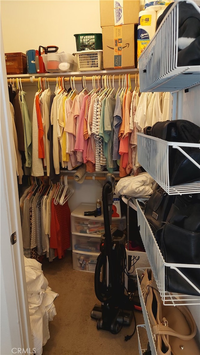 spacious closet featuring carpet