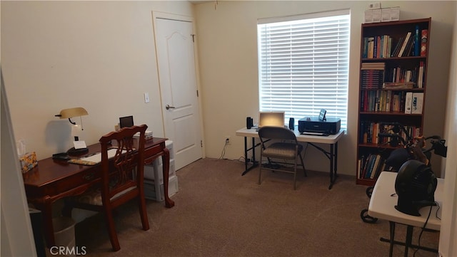 home office featuring carpet floors