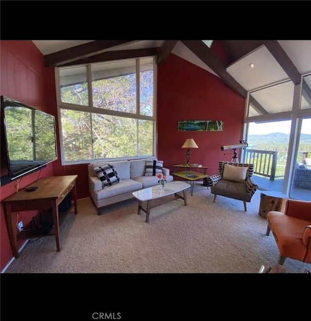 interior space featuring carpet and lofted ceiling