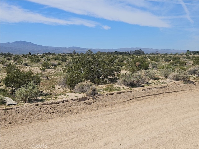 Listing photo 3 for 0 Coventry St, Newberry Springs CA 92365