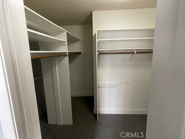 spacious closet featuring carpet flooring