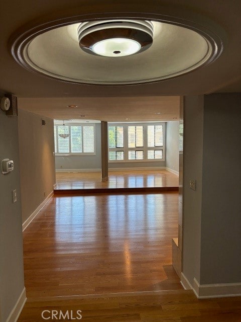 spare room with a tray ceiling and hardwood / wood-style floors