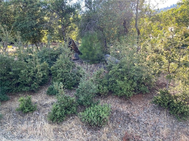 3607 Pine Terrace Dr, Kelseyville, CA 95451 - photo 4