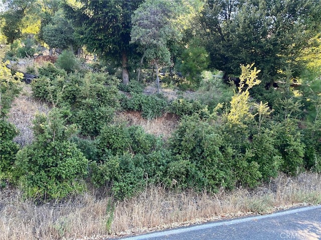 3607 Pine Terrace Dr, Kelseyville, CA 95451 - photo 3