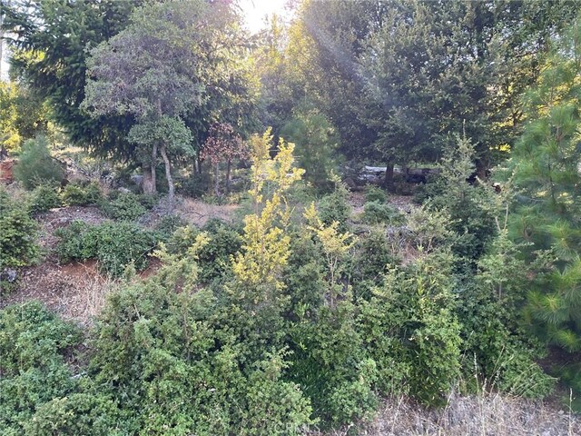 3607 Pine Terrace Dr, Kelseyville, CA 95451 - photo 2