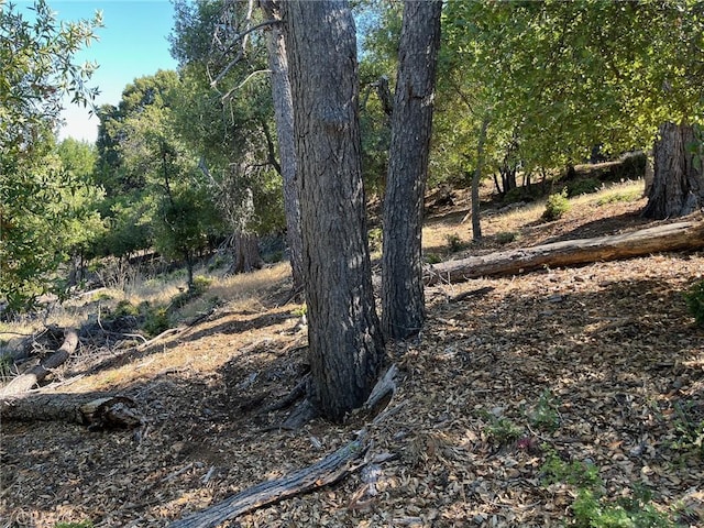3607 Pine Terrace Dr, Kelseyville, CA 95451 - photo 5