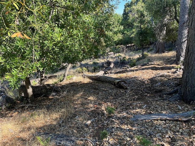 3607 Pine Terrace Dr, Kelseyville, CA 95451 - photo 6