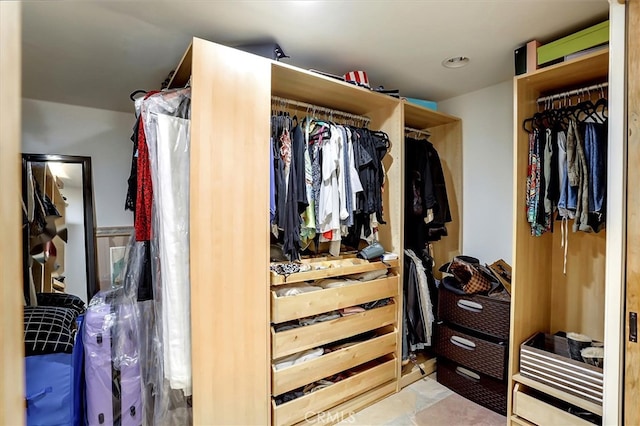 view of spacious closet