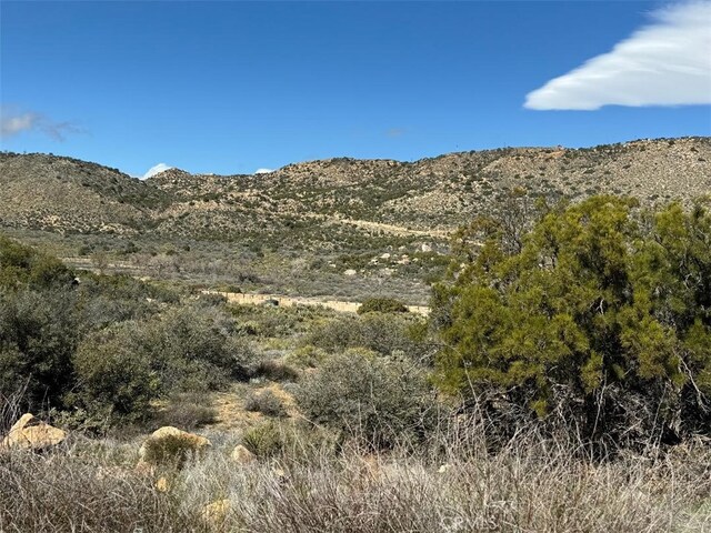 0 Covered Wagon Trl, Anza, CA 92539 - photo 17
