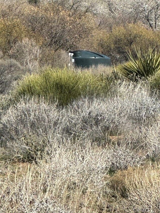0 Covered Wagon Trl, Anza, CA 92539 - photo 23