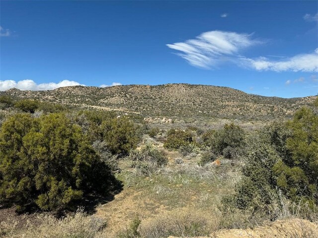 0 Covered Wagon Trl, Anza, CA 92539 - photo 15
