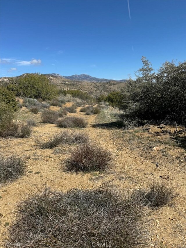 0 Covered Wagon Trl, Anza, CA 92539 - photo 6