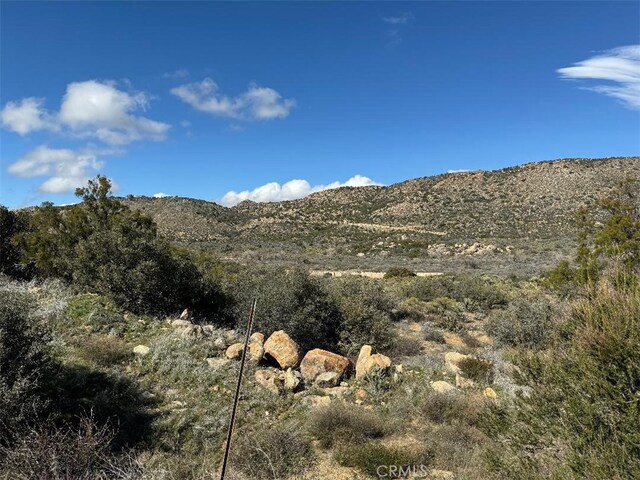 0 Covered Wagon Trl, Anza, CA 92539 - photo 13