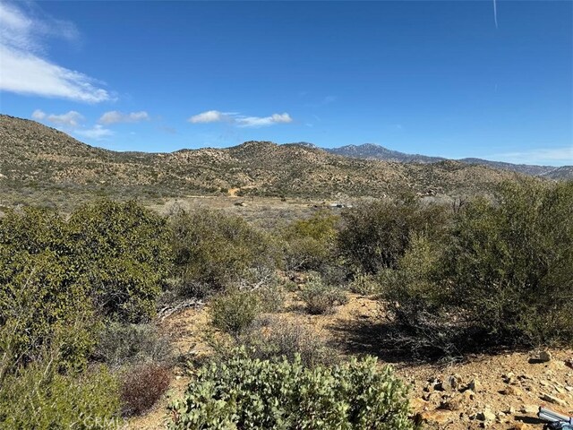 0 Covered Wagon Trl, Anza, CA 92539 - photo 16