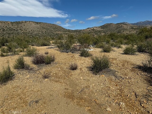 0 Covered Wagon Trl, Anza, CA 92539 - photo 8