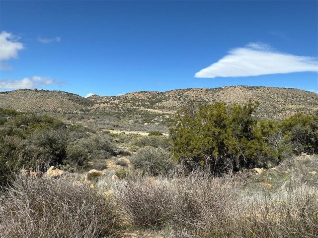 0 Covered Wagon Trl, Anza, CA 92539 - photo 12