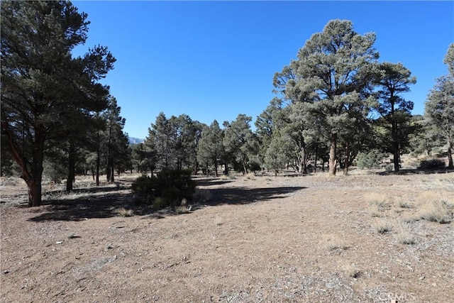 1221 Kickapoo Dr, Big Bear City CA, 92314 land for sale