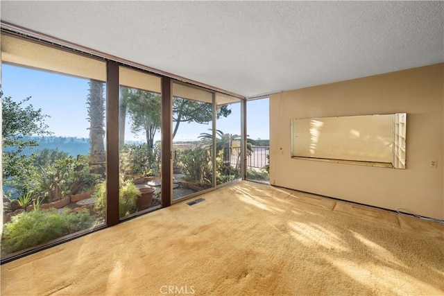 unfurnished sunroom with a water view and plenty of natural light