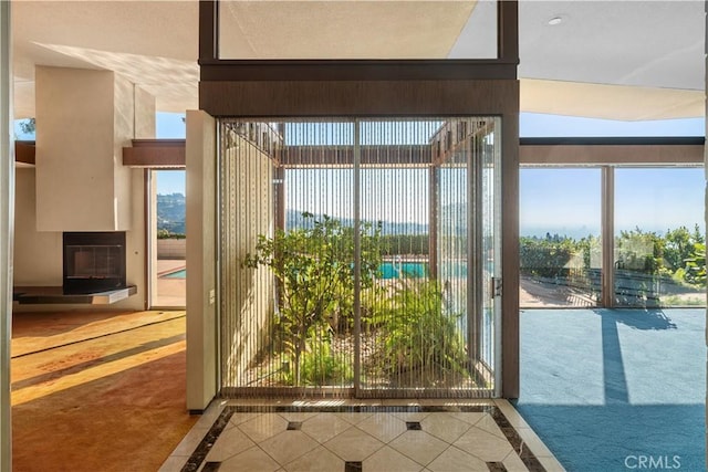 doorway to outside featuring carpet flooring, a wood stove, and plenty of natural light