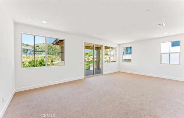 carpeted spare room featuring a healthy amount of sunlight