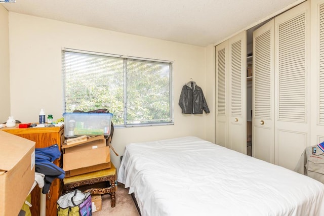 bedroom with carpet floors and two closets