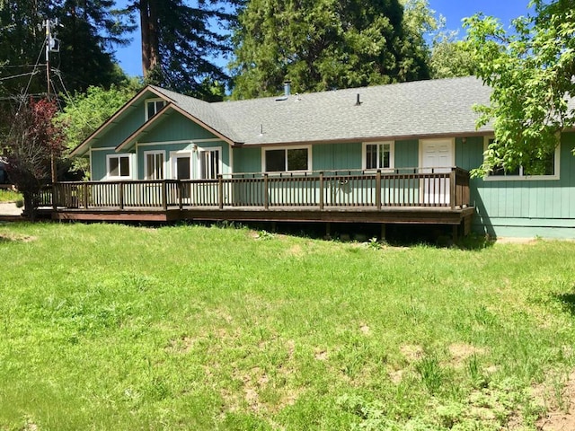 back of house featuring a yard