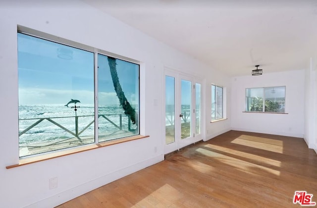 interior space with hardwood / wood-style floors and a healthy amount of sunlight